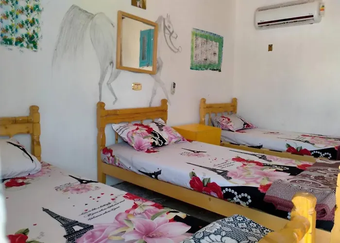 Acacia Camp Hotel Nuweiba`