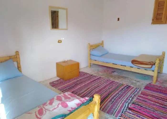 Acacia Camp
