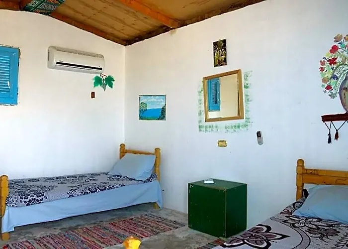 Acacia Camp
