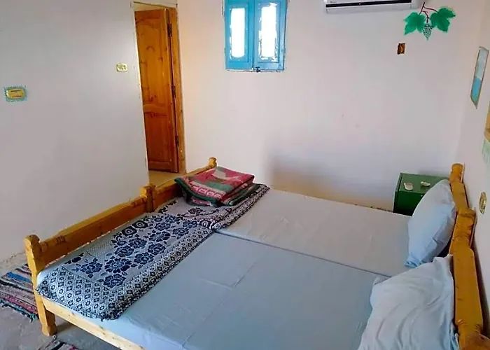 Acacia Camp