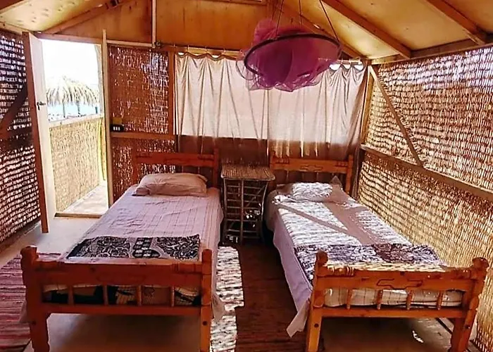Acacia Camp