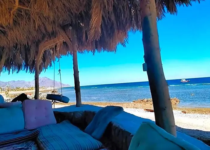 Hotel Acacia Camp